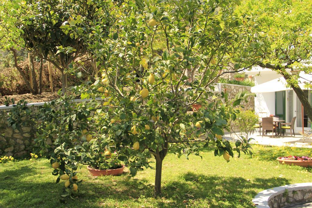 Casa Augusto B&B Capri Eksteriør billede