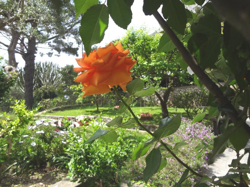 Casa Augusto B&B Capri Eksteriør billede