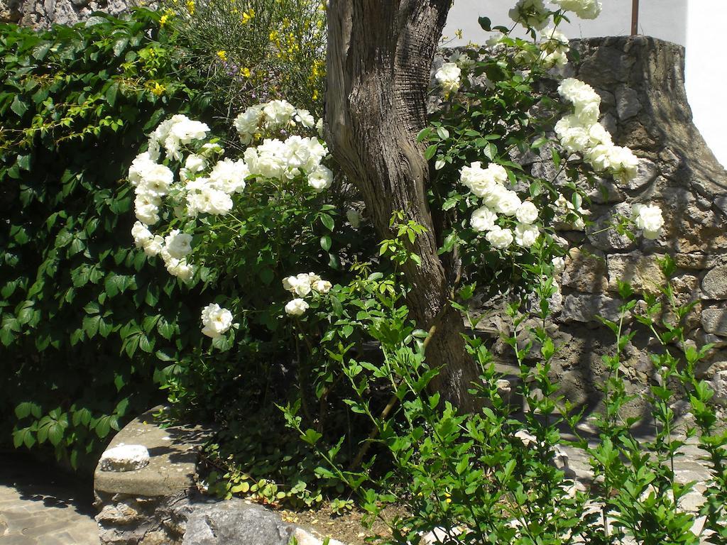 Casa Augusto B&B Capri Eksteriør billede